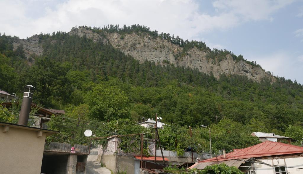 Luxury Apartment At Pirosmani 22 In Central Borjomi Exterior photo